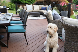 5 Need To Know Decking Tips